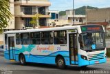 Expressul - Londpart S.A Transportes Urbanos 250 na cidade de Balneário Camboriú, Santa Catarina, Brasil, por Ricardo Silva Monteiro. Número da foto: #:id.