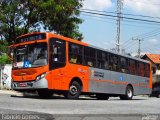 TRANSPPASS - Transporte de Passageiros 8 1113 na cidade de São Paulo, São Paulo, Brasil, por Fabrício Gomes. Número da foto: #:id.