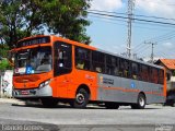 TRANSPPASS - Transporte de Passageiros 8 1113 na cidade de São Paulo, São Paulo, Brasil, por Fabrício Gomes. ID da foto: :id.