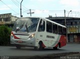 Rouxinol 1603 na cidade de Belo Horizonte, Minas Gerais, Brasil, por Adão Raimundo Marcelino. Número da foto: #4982144.