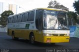 São João - Victor Razzera & Cia. 1718 na cidade de Uruguaiana, Rio Grande do Sul, Brasil, por Daniel Espindola Dorneles. Número da foto: #4982112.