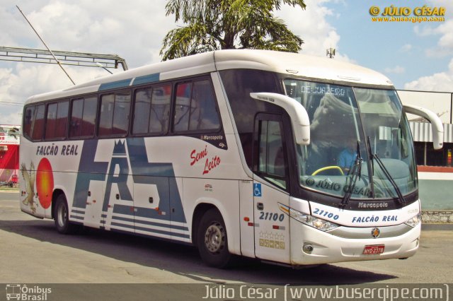 Falcão Real 21100 na cidade de Feira de Santana, Bahia, Brasil, por Julio Cesar  Barbosa Martins. Número da foto: #4985074.