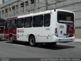 Transwolff Transportes e Turismo 7 8454 na cidade de São Paulo, São Paulo, Brasil, por David Roberto Silva Dos Santos. Número da foto: #:id.