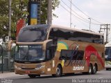 Poloni Turismo 3600 na cidade de São Paulo, São Paulo, Brasil, por Michael  Alberto Vieira. Número da foto: #4986225.