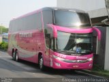 Viação Garcia 7239 na cidade de Campinas, São Paulo, Brasil, por Ezequiel Vicente Fernandes. Número da foto: #4989974.