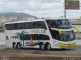 Politur Viagens e Turismo 11050 na cidade de Caruaru, Pernambuco, Brasil, por Luiz Carlos de Santana. Número da foto: #4989999.