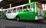 VB Transportes e Turismo 3133 na cidade de Campinas, São Paulo, Brasil, por Matheus Gabriel dos Santos. Número da foto: #4952470.
