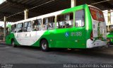 VB Transportes e Turismo 3133 na cidade de Campinas, São Paulo, Brasil, por Matheus Gabriel dos Santos. ID da foto: :id.