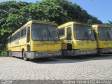 Viação Itapemirim 30173 na cidade de Cachoeiro de Itapemirim, Espírito Santo, Brasil, por Wagner  Pereira da Costa. Número da foto: #4994011.