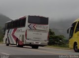 Hibisco Turismo 600 na cidade de Domingos Martins, Espírito Santo, Brasil, por Gilberto Martins. ID da foto: :id.