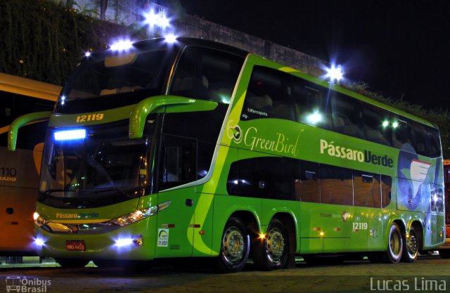 Pássaro Verde 12119 na cidade de Belo Horizonte, Minas Gerais, Brasil, por Lucas Lima. Número da foto: #5002549.