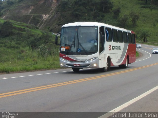 Rouxinol 365 na cidade de Itabirito, Minas Gerais, Brasil, por Daniel Junior Sena. Número da foto: #5001237.