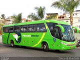 Pássaro Verde 11100 na cidade de Belo Horizonte, Minas Gerais, Brasil, por César Natividade. Número da foto: #:id.