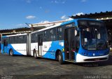 VB Transportes e Turismo 1541 na cidade de Campinas, São Paulo, Brasil, por Leonardo Fidelli. ID da foto: :id.