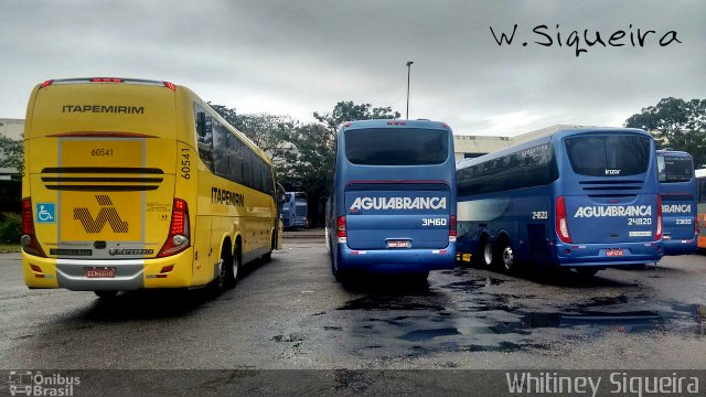 Viação Itapemirim 60541 na cidade de Vitória, Espírito Santo, Brasil, por Whitiney Siqueira. Número da foto: #5011636.