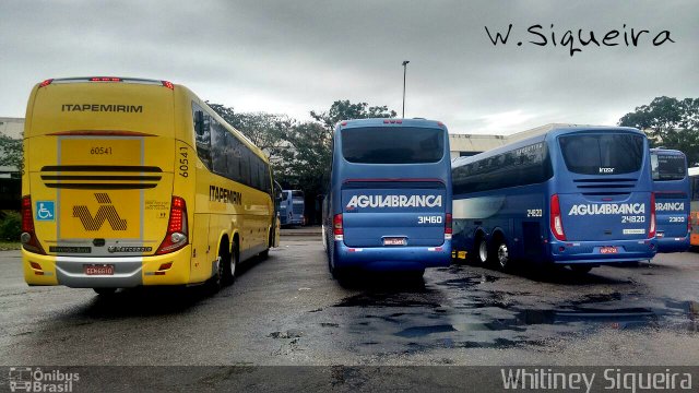 Viação Itapemirim 60541 na cidade de Vitória, Espírito Santo, Brasil, por Whitiney Siqueira. ID da foto: 5011636.