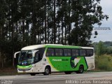 Pássaro Verde 11086 na cidade de Bom Jesus do Amparo, Minas Gerais, Brasil, por Antonio Carlos Fernandes. Número da foto: #:id.