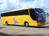 Ipe Transporte Rodoviário 0805 na cidade de Porto Velho, Rondônia, Brasil, por Alex da Silva Rodrigues. Número da foto: #5015311.