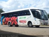 Eucatur - Empresa União Cascavel de Transportes e Turismo 5004 na cidade de Porto Velho, Rondônia, Brasil, por Alex da Silva Rodrigues. Número da foto: #5015319.