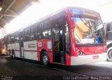 Express Transportes Urbanos Ltda 4 8725 na cidade de São Paulo, São Paulo, Brasil, por Luiz Guilherme  Nascimento. Número da foto: #:id.