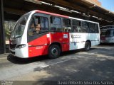Allibus Transportes 4 5675 na cidade de São Paulo, São Paulo, Brasil, por David Roberto Silva Dos Santos. Número da foto: #5016854.