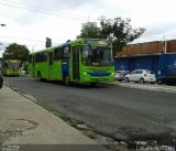 Empresa Dois Irmãos 03073 na cidade de Teresina, Piauí, Brasil, por Lucas Gabriel. Número da foto: #4959427.