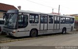 Araucária Transportes Coletivos 19L27 na cidade de Pinhais, Paraná, Brasil, por Hipólito Rodrigues. Número da foto: #:id.