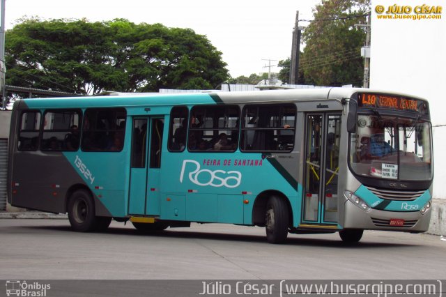 Rosa Feira de Santana 13524 na cidade de Feira de Santana, Bahia, Brasil, por Julio Cesar  Barbosa Martins. Número da foto: #4968531.