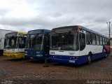 Expresso Royal 2170 na cidade de Londrina, Paraná, Brasil, por Rogério César. Número da foto: #4967549.
