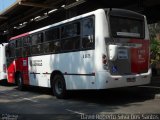 Allibus Transportes 4 5675 na cidade de São Paulo, São Paulo, Brasil, por David Roberto Silva Dos Santos. Número da foto: #5019839.