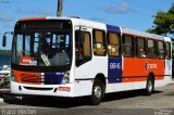 Capital Transportes 8645 na cidade de Aracaju, Sergipe, Brasil, por Franz Hecher. Número da foto: #:id.