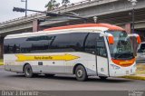 Flecha Amarilla 163 na cidade de Morelia, Michoacán, México, por Omar Ramírez Thor2102. Número da foto: #5045219.