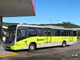 Milênio Transportes 10813 na cidade de Juiz de Fora, Minas Gerais, Brasil, por Luiz Krolman. Número da foto: #5046475.