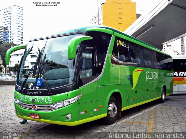 Pássaro Verde 15147 na cidade de Belo Horizonte, Minas Gerais, Brasil, por Antonio Carlos Fernandes. Número da foto: #5056150.