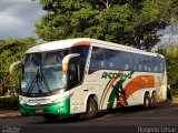 Empresa de Transportes Andorinha 6177 na cidade de Assis, São Paulo, Brasil, por Rogério César. Número da foto: #5063602.