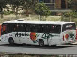 Águia Turismo 11436 na cidade de Campina Grande, Paraíba, Brasil, por Diego Rhamon Reis da Silva. Número da foto: #:id.