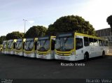 Viação Pioneira 224871 na cidade de Brasília, Distrito Federal, Brasil, por Ricardo Vieira. Número da foto: #5069923.