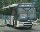 Auto Viação 1001 RJ 108.115 na cidade de Nova Friburgo, Rio de Janeiro, Brasil, por Paulo Rangel. Número da foto: #:id.