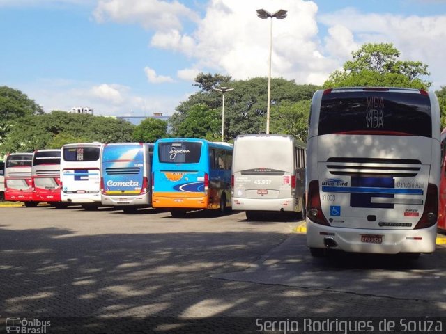 VIDA - Viação Danúbio Azul 10.003 na cidade de São Paulo, São Paulo, Brasil, por Sergio Rodrigues de Souza. ID da foto: 5082395.