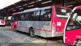 Allibus Transportes 4 5633 na cidade de São Paulo, São Paulo, Brasil, por Jonas Ramos. Número da foto: #5081519.