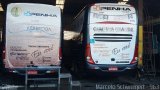 Empresa de Ônibus Nossa Senhora da Penha 53014 na cidade de Curitiba, Paraná, Brasil, por Douglas Paternezi. Número da foto: #5081025.
