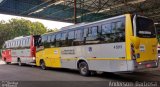 Allibus Transportes 4 5215 na cidade de Guarulhos, São Paulo, Brasil, por Anderson Barbosa Marinho. Número da foto: #5082961.