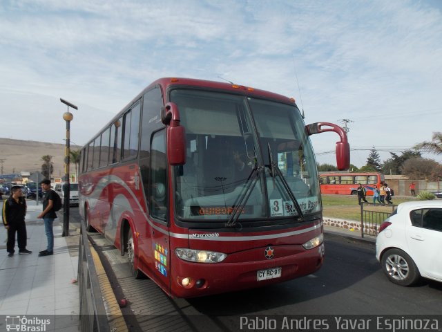 Pullman Santa Rosa 195 na cidade de Arica, Arica, Arica y Parinacota, Chile, por Pablo Andres Yavar Espinoza. Número da foto: #5083008.