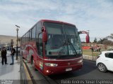 Pullman Santa Rosa 195 na cidade de Arica, Arica, Arica y Parinacota, Chile, por Pablo Andres Yavar Espinoza. Número da foto: #5083008.