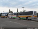 Daiane Tur 305 na cidade de Santa Maria, Rio Grande do Sul, Brasil, por Cleverton Schmitt. Número da foto: #5086459.