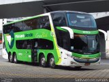 Pássaro Verde 12123 na cidade de Belo Horizonte, Minas Gerais, Brasil, por Tailisson Fernandes. Número da foto: #:id.