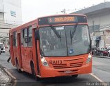 Transporte Coletivo Glória BA113 na cidade de Curitiba, Paraná, Brasil, por Ricardo Grott. Número da foto: #5091571.