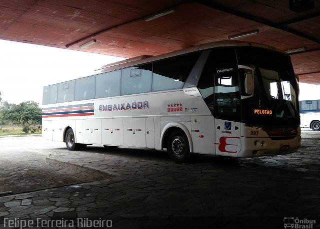 Expresso Embaixador 307 na cidade de Pelotas, Rio Grande do Sul, Brasil, por Felipe Ferreira Ribeiro. Número da foto: #5027309.
