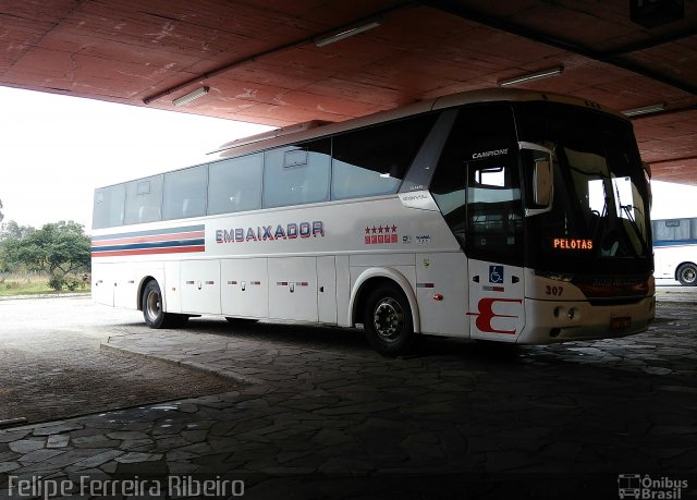 Expresso Embaixador 307 na cidade de Pelotas, Rio Grande do Sul, Brasil, por Felipe Ferreira Ribeiro. ID da foto: 5027309.