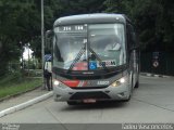 Empresa de Ônibus Pássaro Marron 45501 na cidade de São Paulo, São Paulo, Brasil, por Tadeu Vasconcelos. Número da foto: #:id.